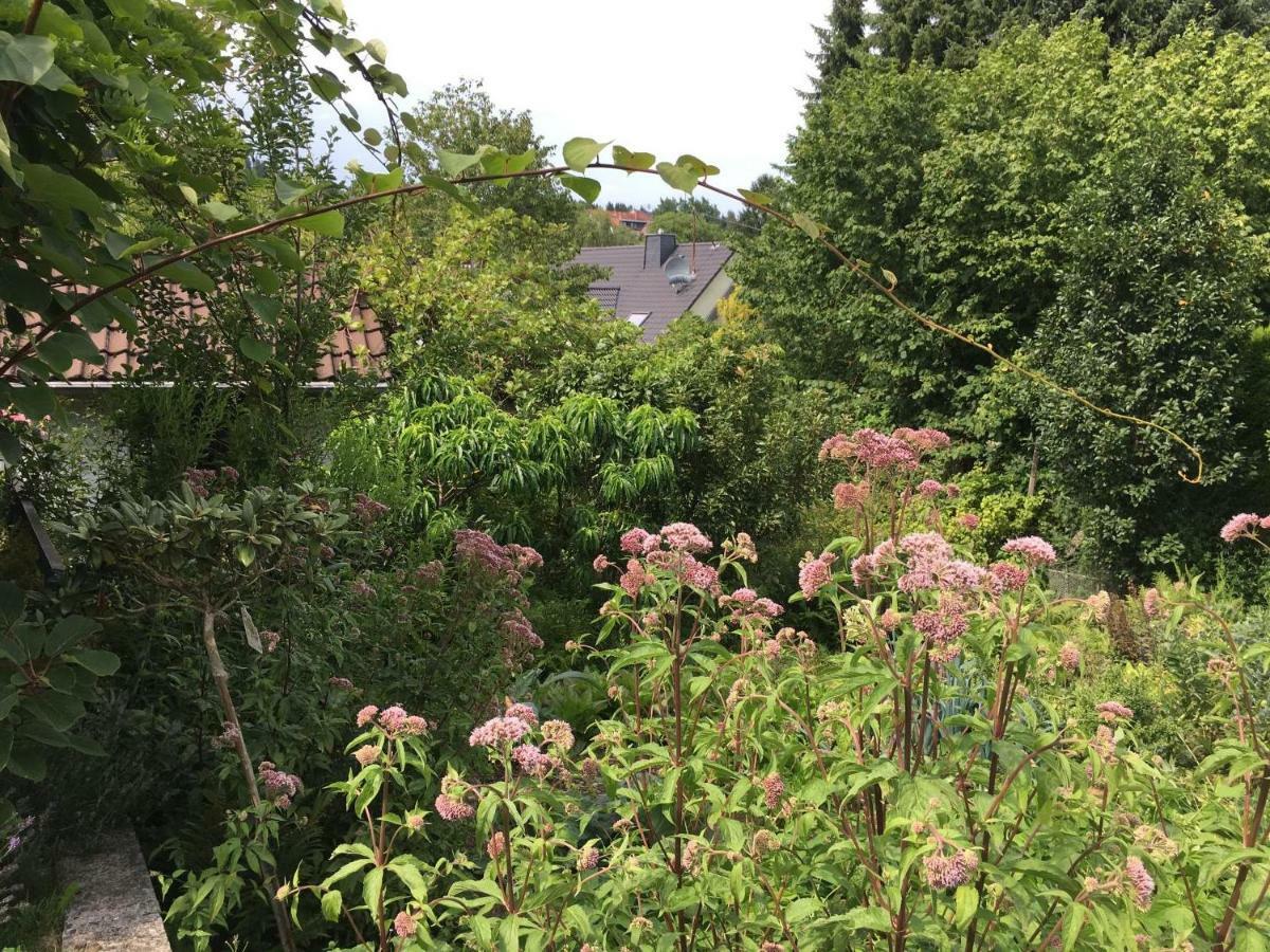 Landhaus Almyssen Alsbach 外观 照片